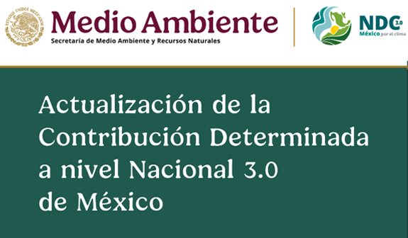 Informe
