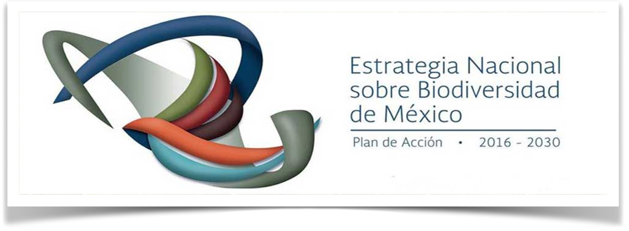 Estrategia