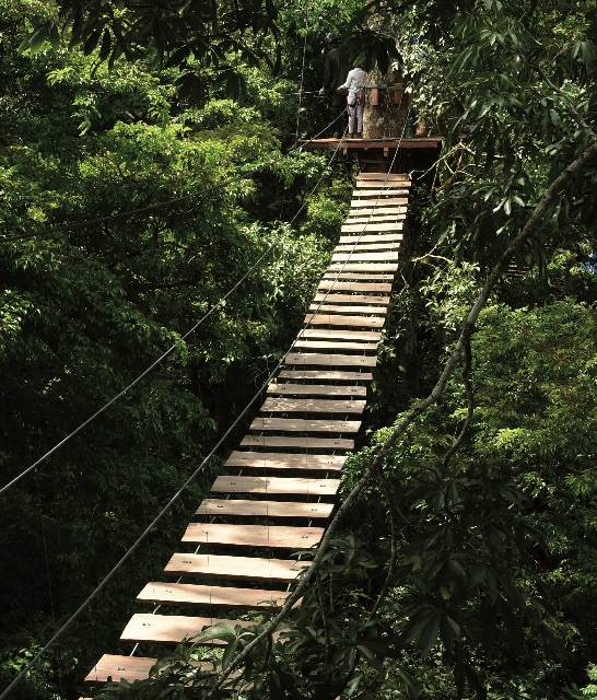 5-3_ecoturismo