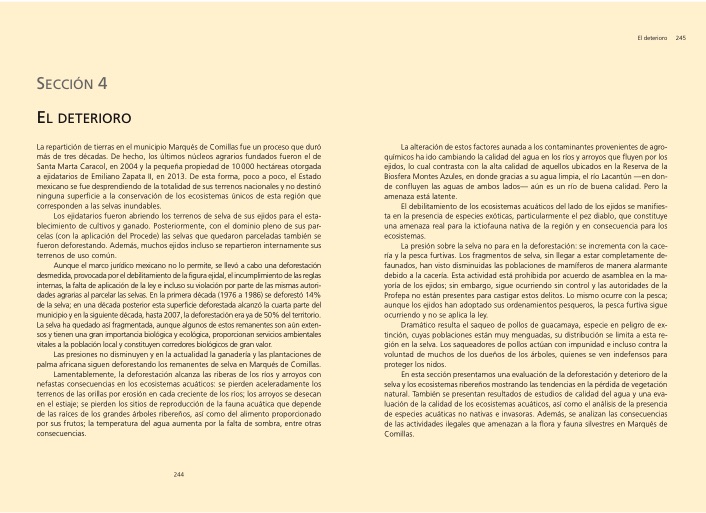 seccion-4_imagen